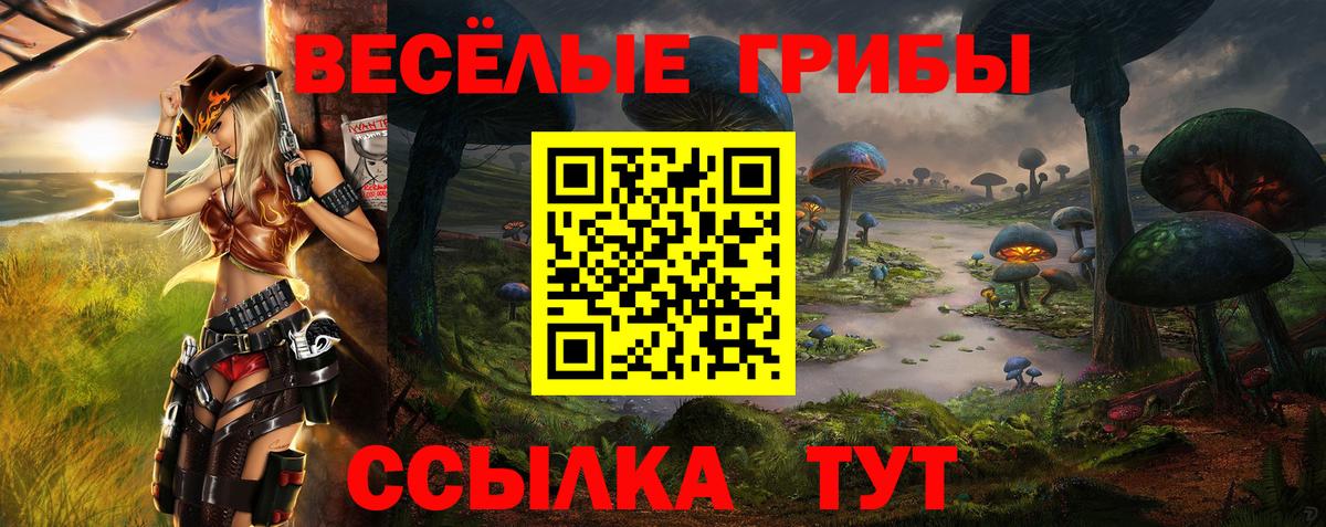 Псилоцибиновые грибы Psilocybe Нефтекамск